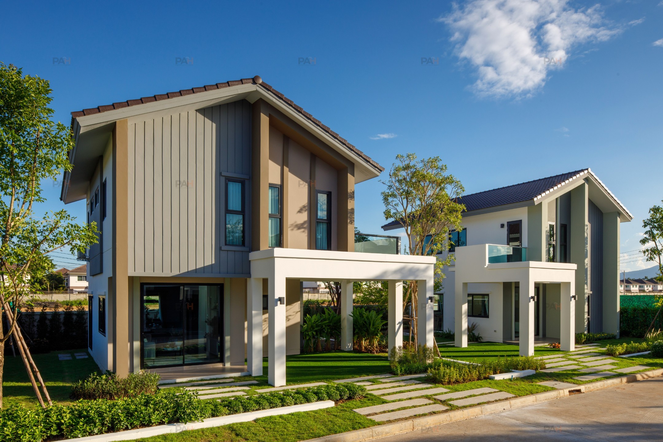 Beelieve Sansai-Mae Jo - Image 3