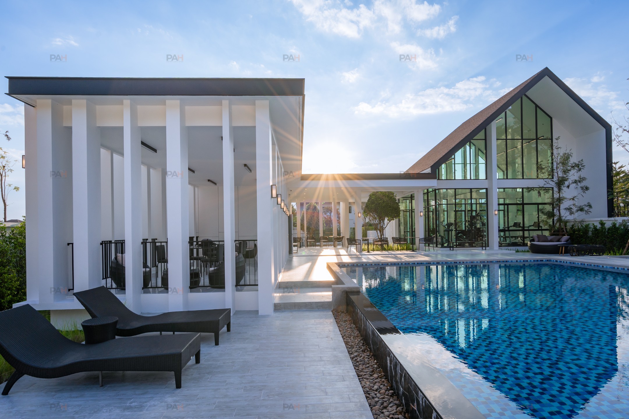 Beelieve Sansai-Mae Jo - Image 4