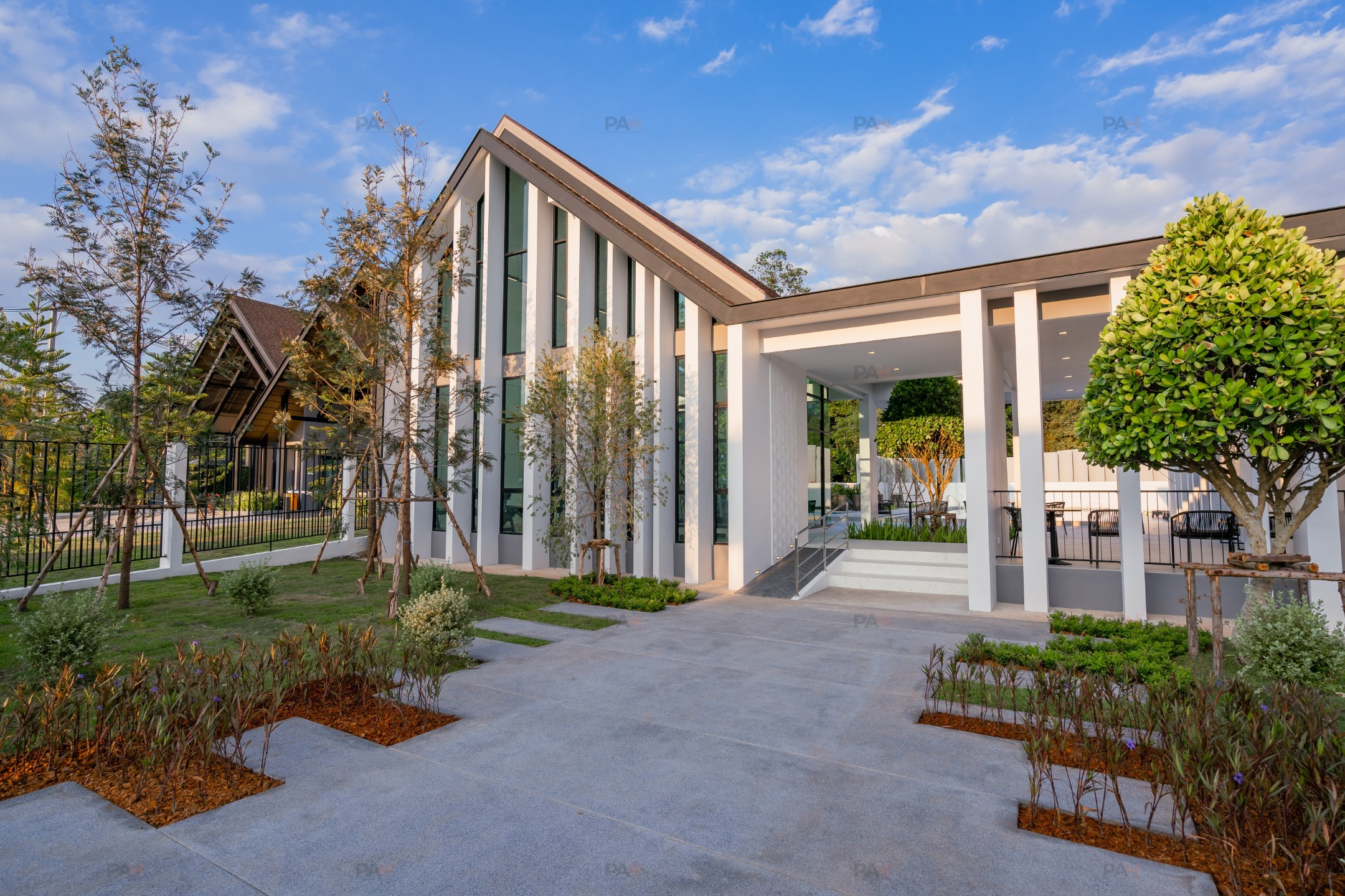 Beelieve Sansai-Mae Jo - Image 5