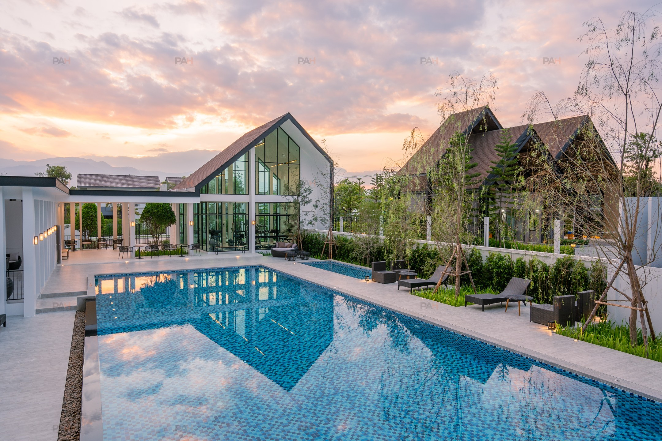 Beelieve Sansai-Mae Jo - Image 6